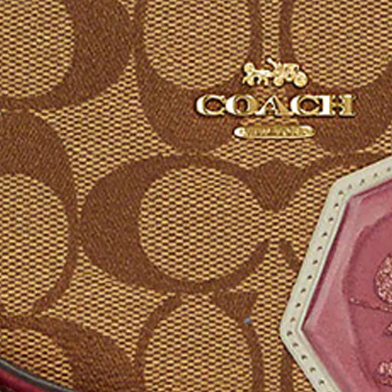 COACH Corner Zip 16