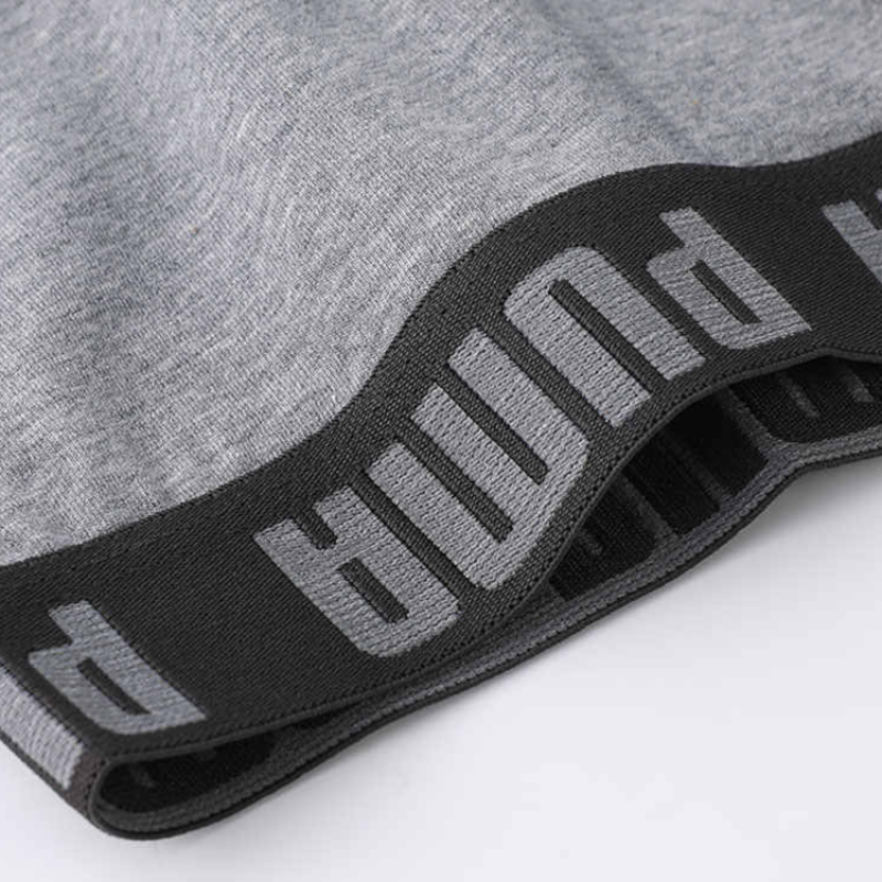 PUMA 3