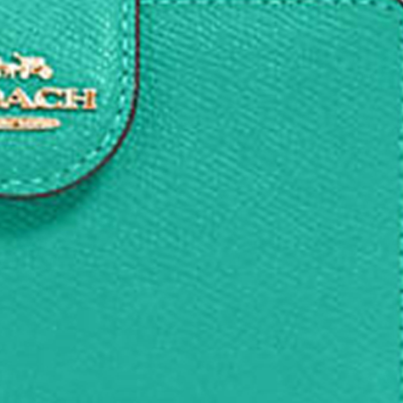 COACH Corner Zip 13