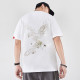 PIERRE CARDIN T