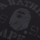 A BATHING APE SS24 1993T