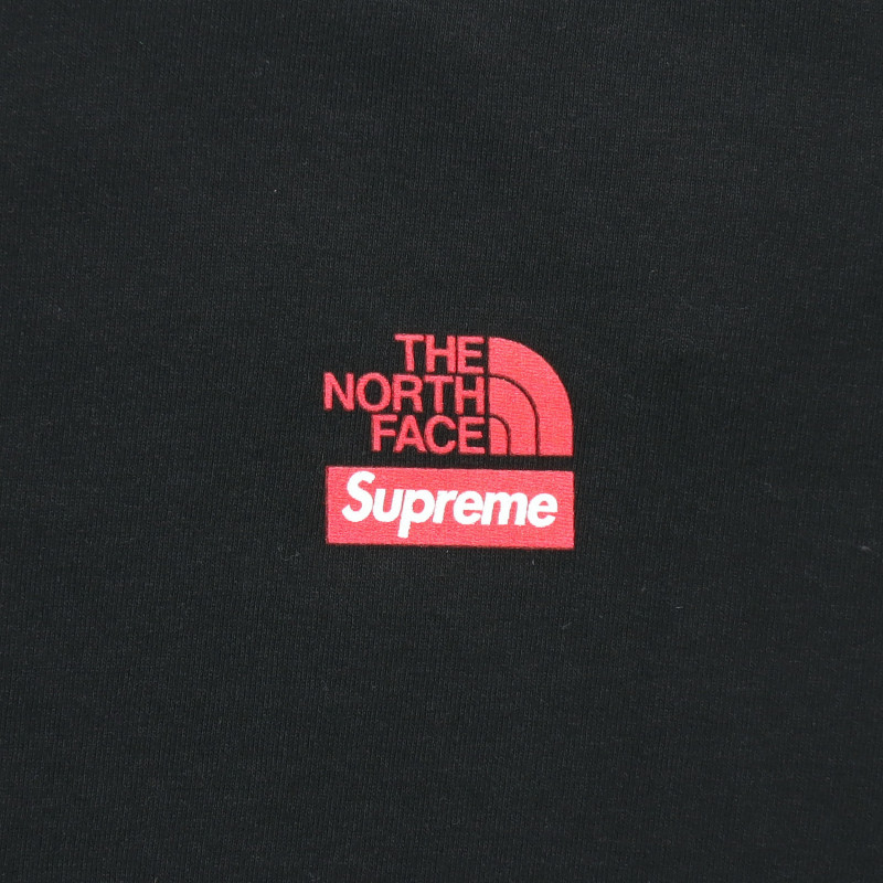 Supreme x THE NORTH FACE T