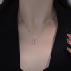 CARLHEIM ins S999