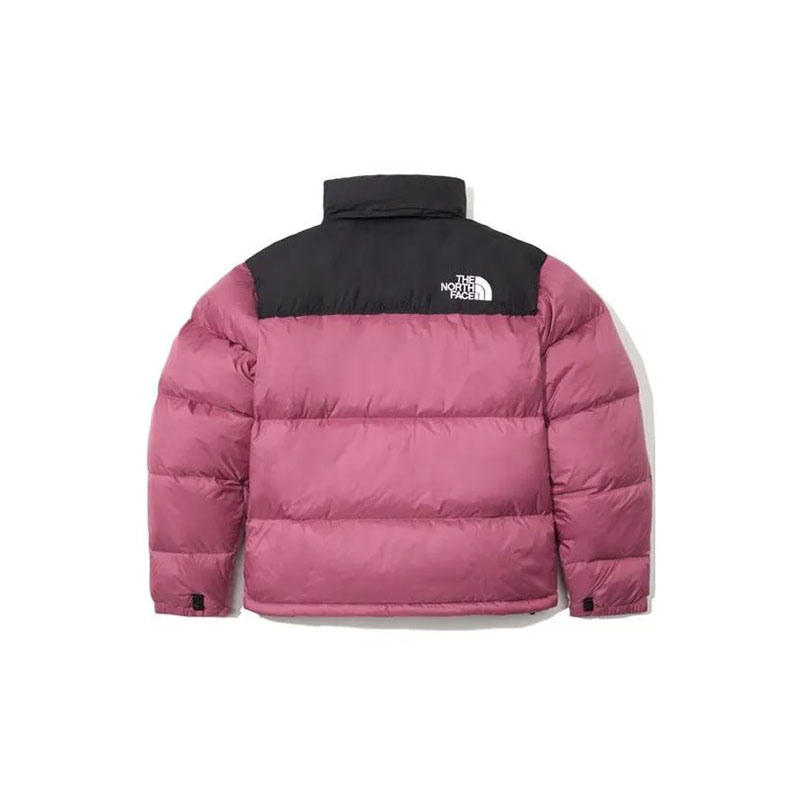 THE NORTH FACE 1996 Logo