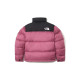 THE NORTH FACE 1996 Logo