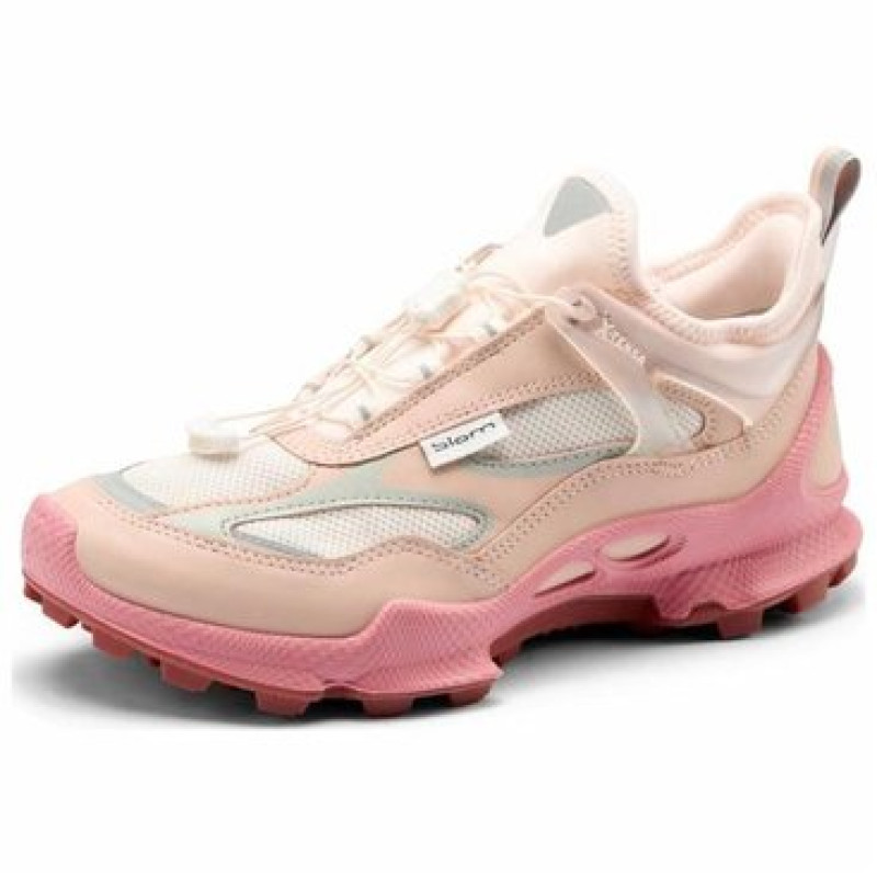 ecco C