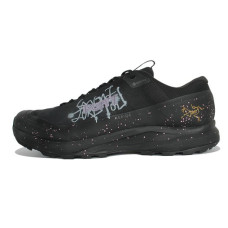 Arcteryx Aerios Fl 2 GTX