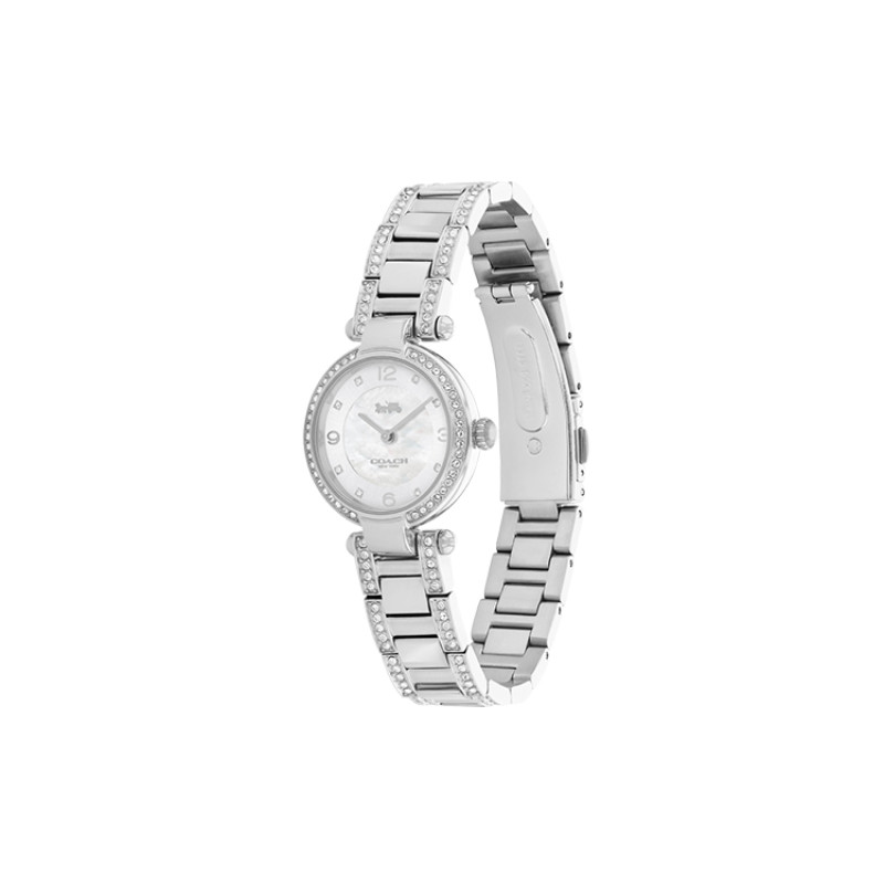 COACHCary Clogo 14503837