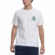 Converse T