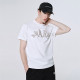 FAIRWHALE T