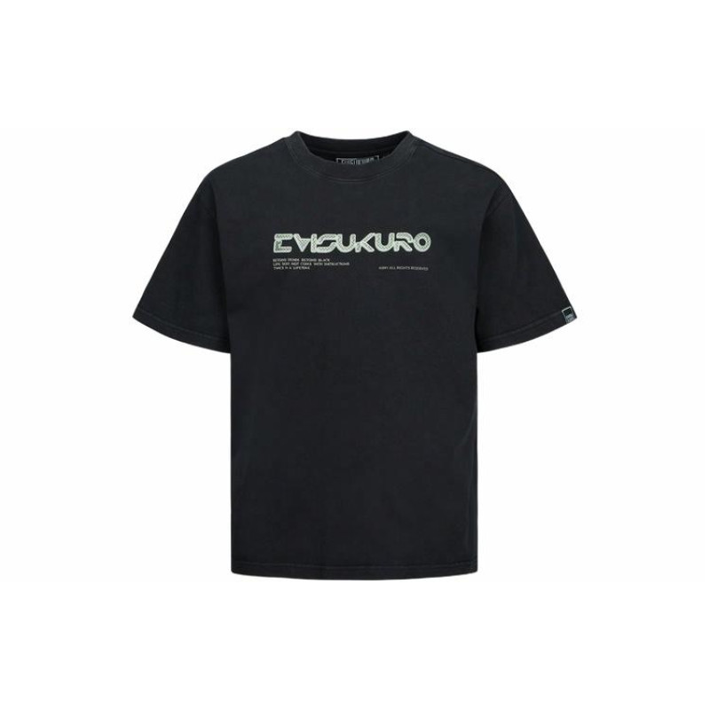 EVISU LogoT