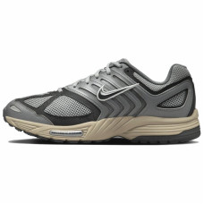 Nike Air Pegasus 2005