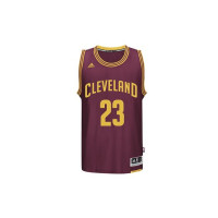 adidas SW Cleveland Cavaliers LeBron James Jersey