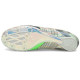 PUMA Evo Speed Tokyo Future 2 Spectra