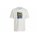 adidas originals Ldsp Tee T