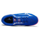 Mizuno Gate Sky Plus
