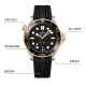 OMEGA 300 42mm 210.22.42.20.01.001