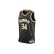 Nike Giannis Antetokounmpo Milwaukee Bucks 2024 Select Series