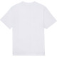 Converse T