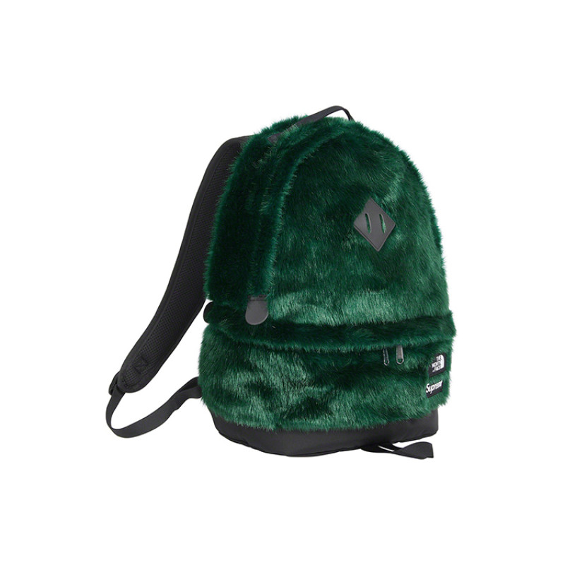 Supreme x The North Face FW20 Week16 Logo