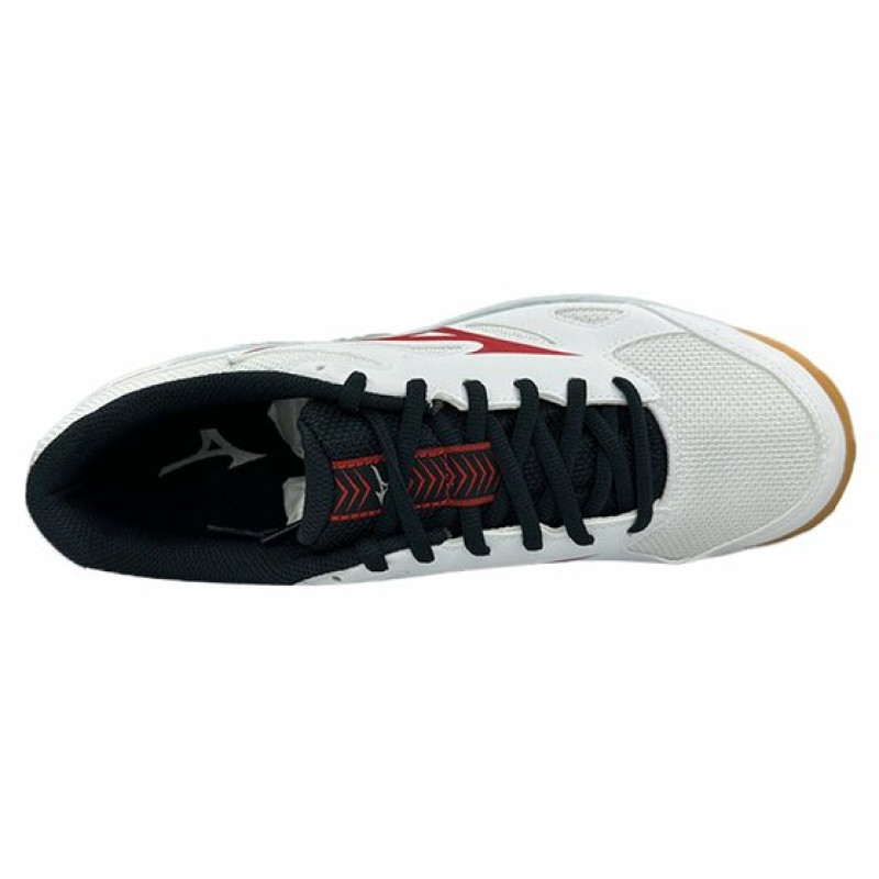 Mizuno