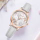 Disney SM-17009A