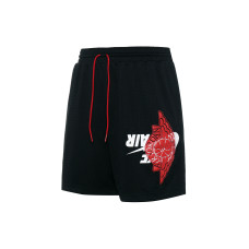 Air Jordan Logo