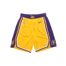Nike NBA Icon Edition SW