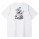 FAIRWHALE T