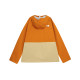 THE NORTH FACE logo