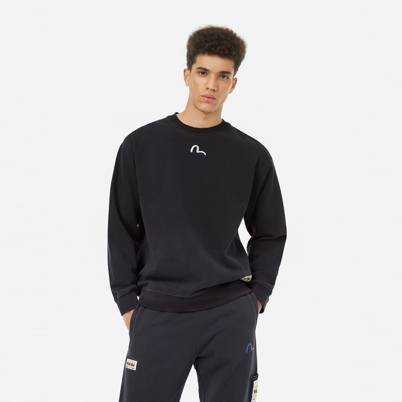 EVISU 2024