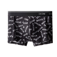 CKCalvin Klein Logo 1