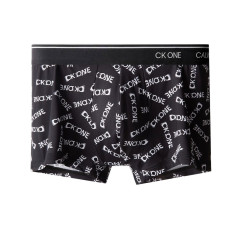 CKCalvin Klein Logo 1