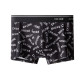 CKCalvin Klein Logo 1