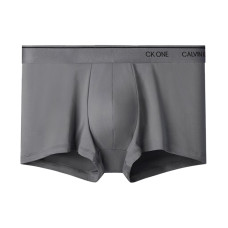 CKCalvin Klein Logo 1