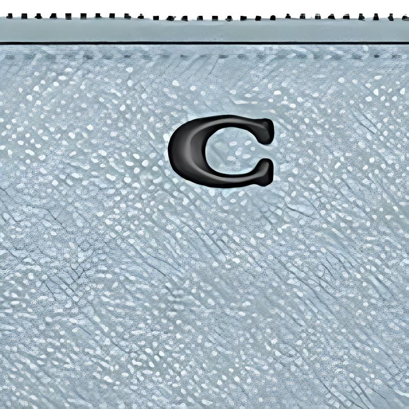 COACH Corner Zip 11