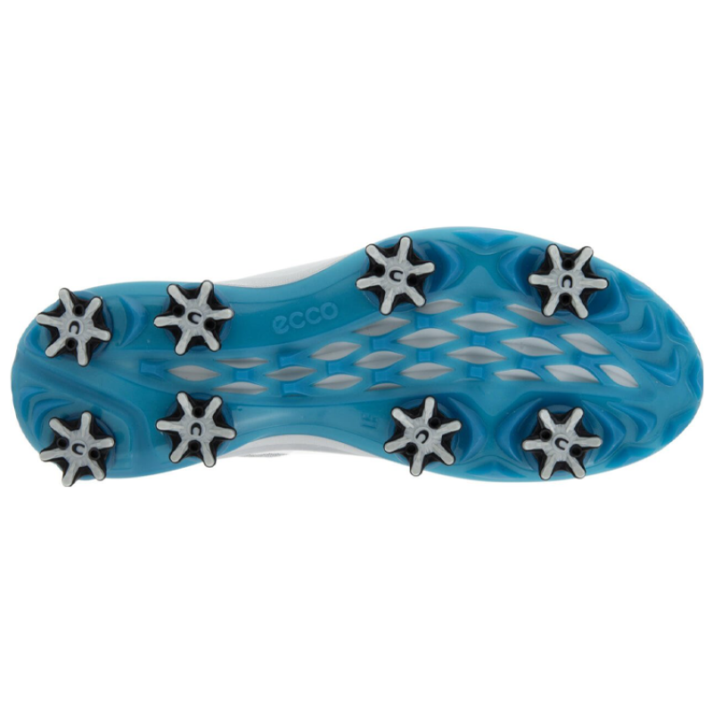 ecco Biom G3