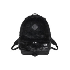 Supreme x The North Face FW20 Week16 Logo