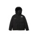 THE NORTH FACE FW22 Logo