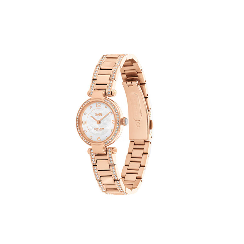 COACHCARY 26mm 30 14503838-1