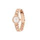 COACHCARY 26mm 30 14503838-1