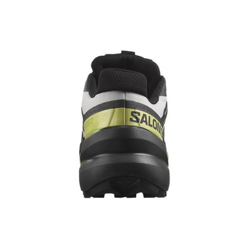 SALOMON 6 GTX