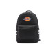 Dickies 100