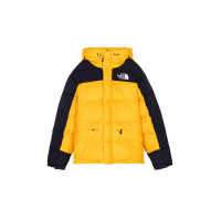 THE NORTH FACE DOWN PARKA ENERGY