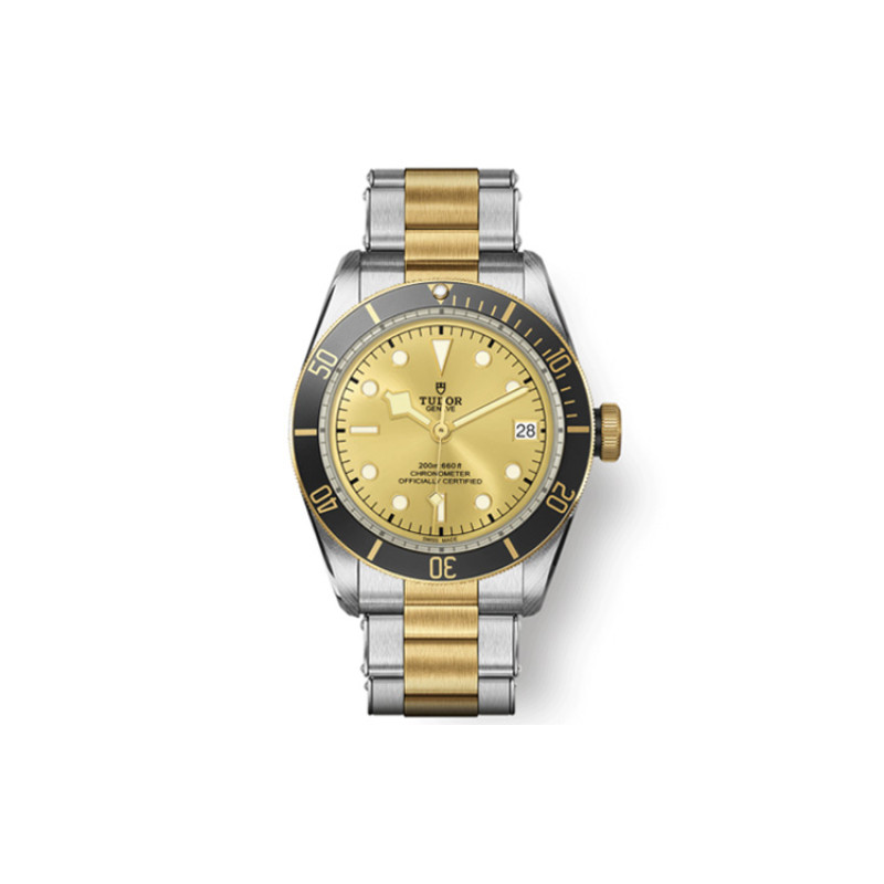 TUDOR 200m 41mm M79733N-0004