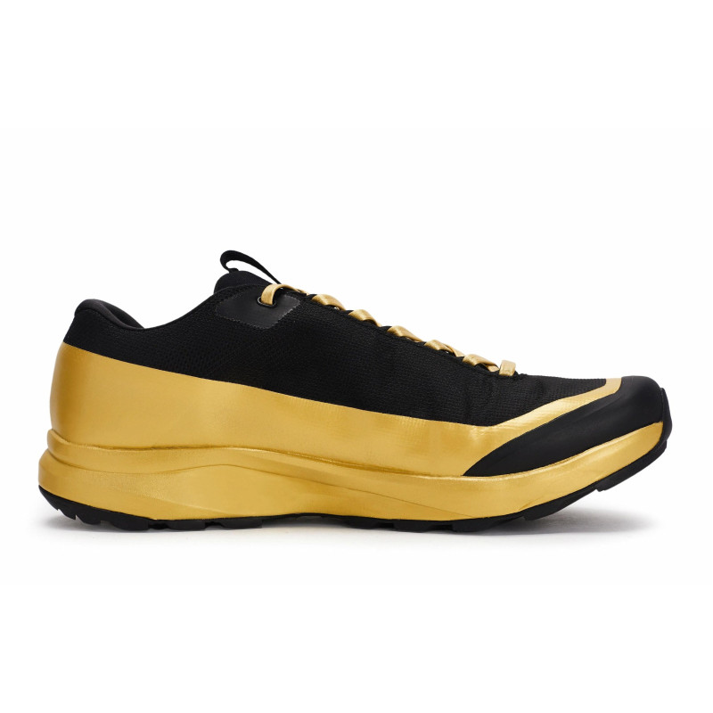 Arcteryx Aerios Fl 2 GTX 811