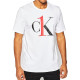 CKCalvin Klein LogoT