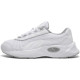 Puma Nucleus