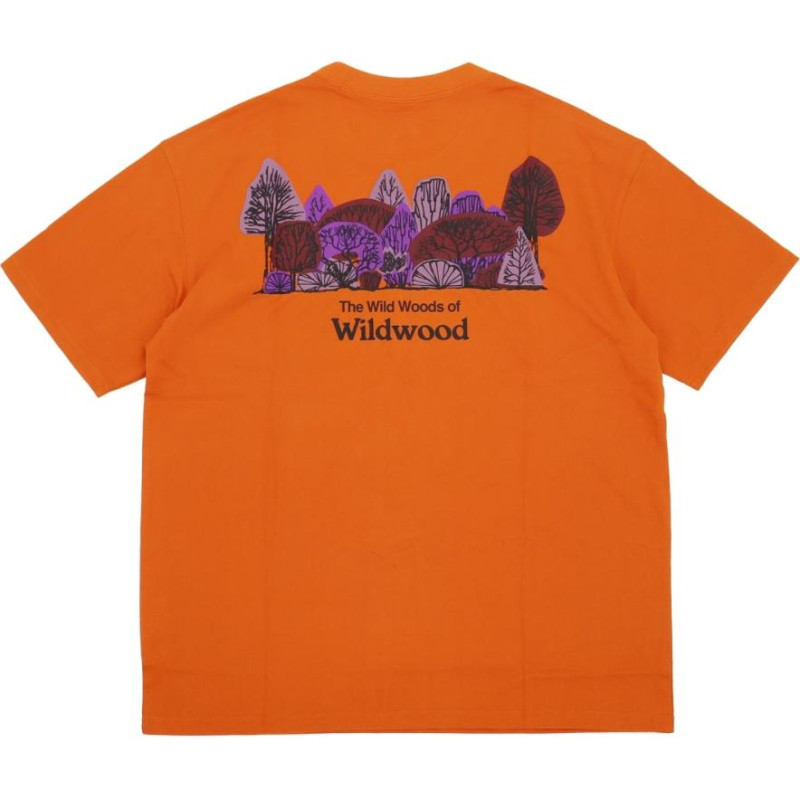 Nike NikeACG T