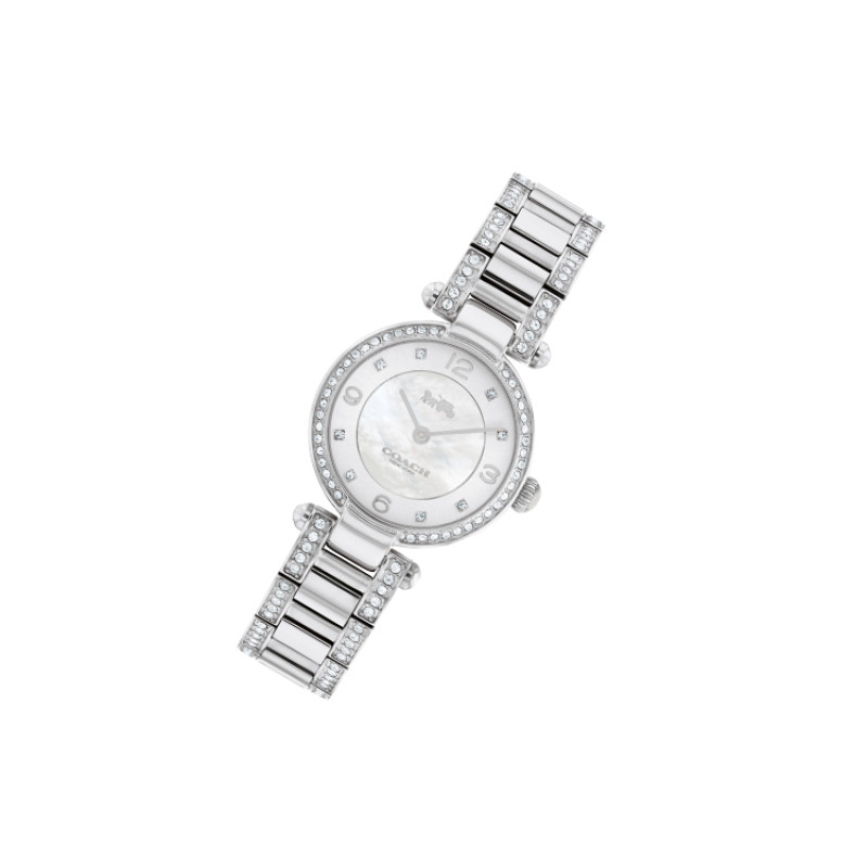 COACHCary Clogo 14503837